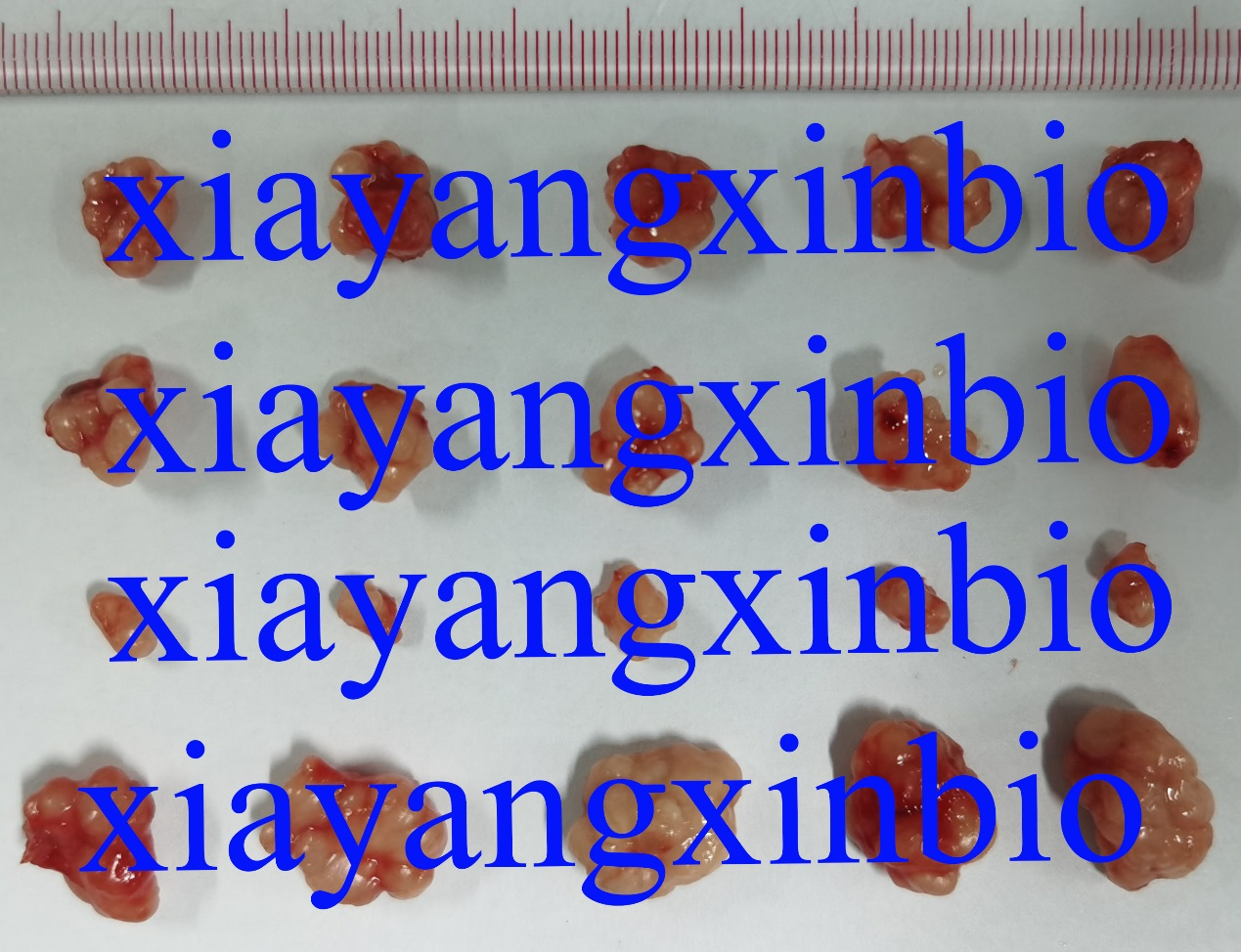DƬ1